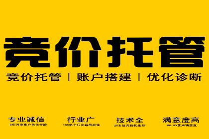 百度广告竞价排名实战技巧案例分析